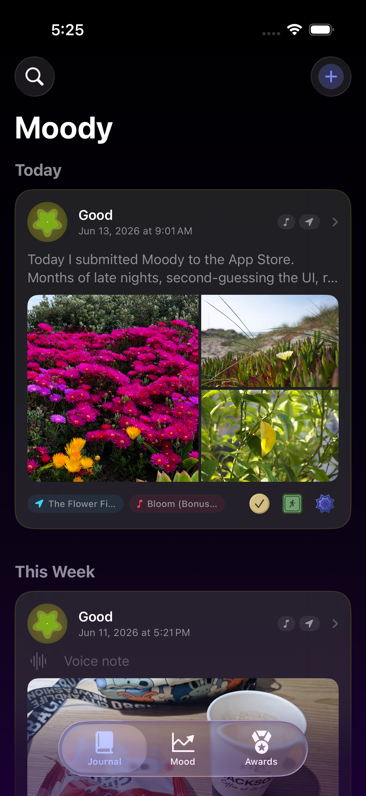 Journal feed